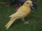 Preview: Deko Figur Kanarienvogel lebensecht wetterfest HOTANT NEUHEIT