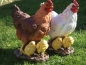 Preview: Huhn Figur Deko Figur m Küken 33cm lebensecht Gartenfigur Skulptur Hahn NEU