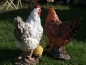 Preview: Huhn Figur Deko Figur m Küken 33cm lebensecht Gartenfigur Skulptur Hahn NEU