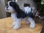 Preview: Shih Tzu Deko Figur NEU
