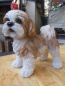 Preview: Shih Tzu Deko Figur NEU