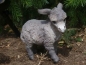 Preview: kleiner Esel 2 Farben incl Versand