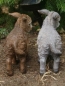 Preview: kleiner Esel 2 Farben incl Versand
