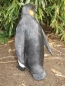 Preview: PINGUIN Deko Figur KAISERPINGUIN lebensgroß 40cm Figur Gartenfigur Hotant