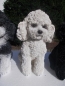 Preview: Pudel Deko Figur lebensecht Hund Garten 28cm Bishon wetterfest NEUHEIT