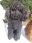 Preview: Pudel Deko Figur lebensecht Hund Garten 28cm Bishon wetterfest NEUHEIT