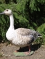 Preview: Gans Deko Figur 44cm Grau/Wildgans Hotant