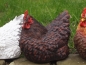 Preview: Deko Huhn hockend wetterfest 3 verschiedene Farben