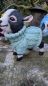 Preview: niedliches Ziegenbaby im Pulli