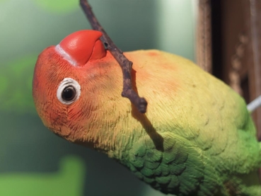 Agapornide Love Bird lebensecht von Hotant