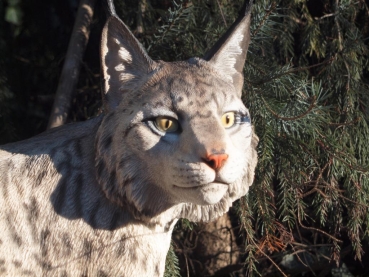 Luchs stehend lebensecht von Hotant