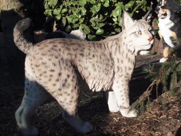 Luchs stehend lebensecht von Hotant