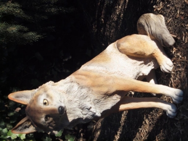 Cojote Wolf sitzend Deko Figur von Hotant