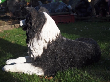 Border Collie naturgetreu liegend von Hotant