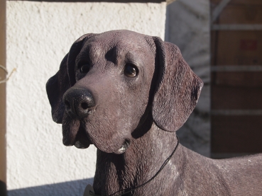 Deutsche Dogge 63cm 3 Farben naturgetreu von Hotant