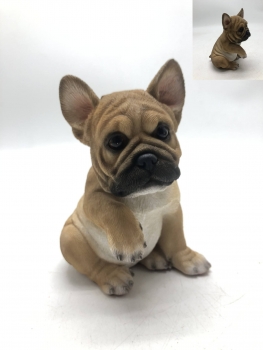 französische Bulldogge Welpe sitzend