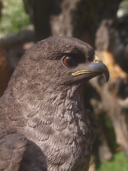 Bussard Deko Figur Greifvögel Falke HOTANT NEUHEIT