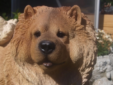 Chow Chow Deko Figur lebensecht  lebensecht wetterfest Hotant NEUHEIT