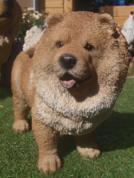 Chow Chow Deko Figur lebensecht Hund  wetterfest Hotant NEUHEIT