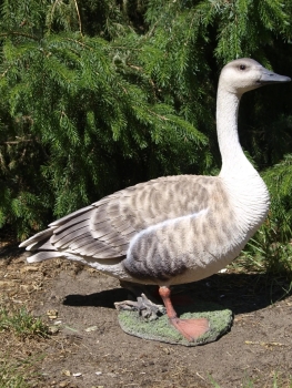 Gans Deko Figur 44cm Grau/Wildgans Hotant