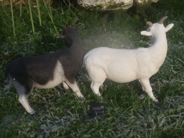Ziege Deko Figur  wetterfest Hotant NEU