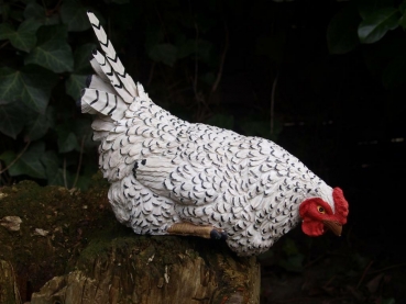 Kantenhocker Huhn weiß