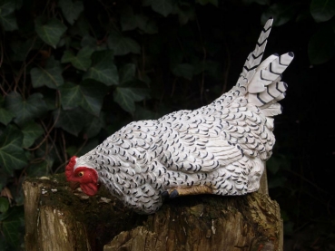 Kantenhocker Huhn weiß