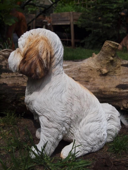 Shih Tzu sitzend naturgetreu 30cm Wetterfest