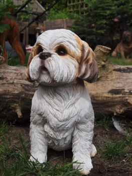 Shih Tzu sitzend naturgetreu 30cm Wetterfest