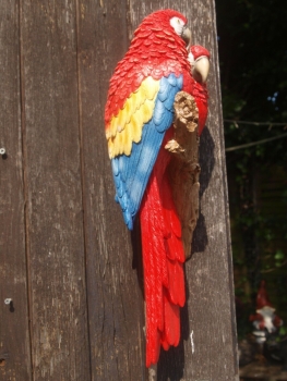 Papagei Deko Figur 2 Ara rot für die Wand naturgetreu HOTANT