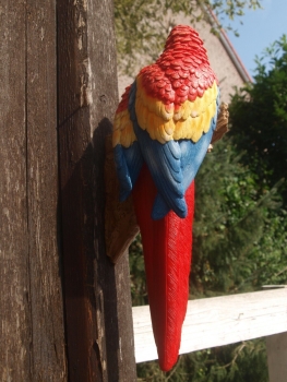 Papagei Deko Figur 2 Ara rot für die Wand naturgetreu HOTANT