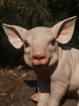 Schwein Ferkel Deko Figur lebensecht wetterfest Gartenfigur NEU S HOTANT