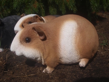 Meerschweinchen Deko Figur Glatthaar lebensgroß Hotant