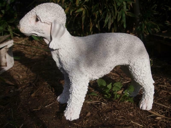 Terrier Deko Figur lebensecht Bedlington 30x40cm naturgetreu Gartenfigur NEU