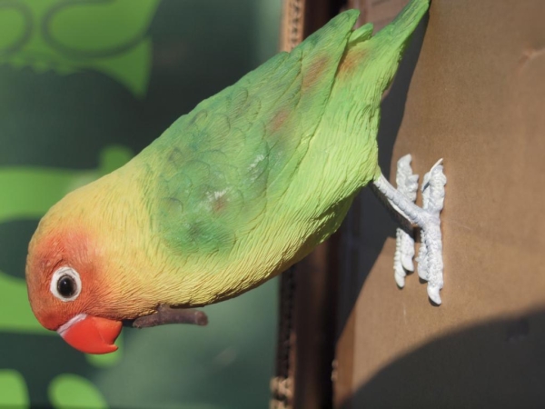 Agapornide Love Bird lebensecht von Hotant