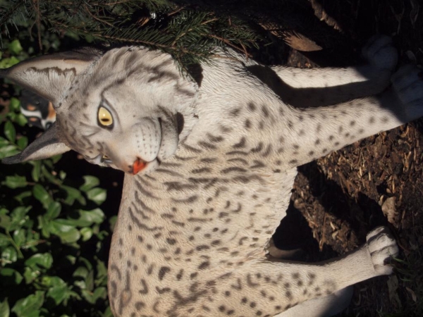 Luchs stehend lebensecht von Hotant