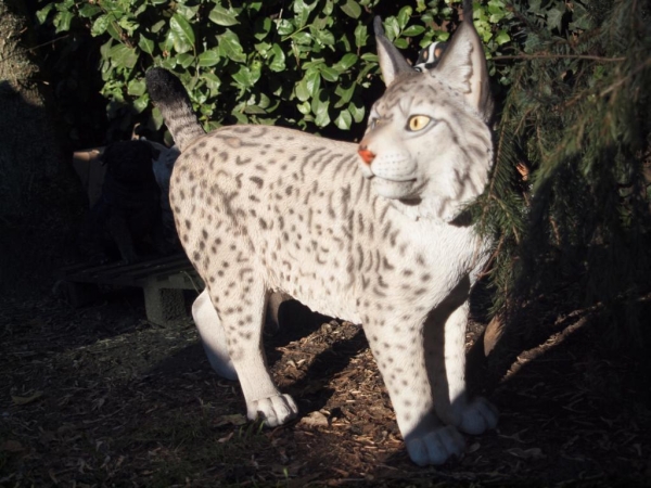 Luchs stehend lebensecht von Hotant