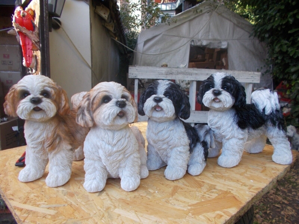 Shih Tzu Deko Figur NEU