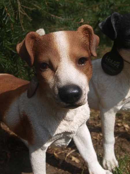 Jack Russell Parson Terrier Deko Figur lebensecht wetterfest Gartendeko HOTANT