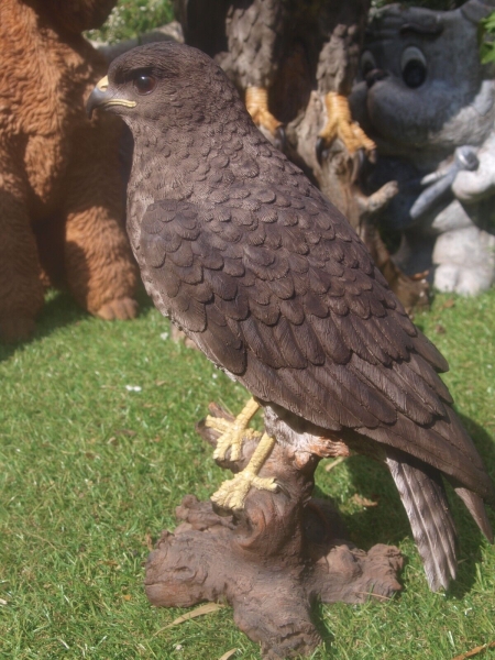 Bussard Deko Figur Greifvögel Falke HOTANT NEUHEIT