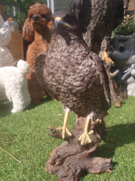 Bussard Deko Figur Greifvögel Falke HOTANT NEUHEIT