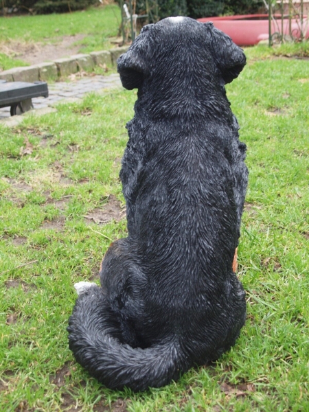 Berner Sennenhund lebensecht von Hotant