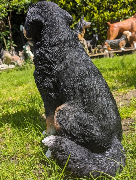 Berner Sennenhund lebensecht von Hotant