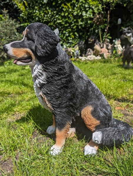 Berner Sennenhund lebensecht von Hotant