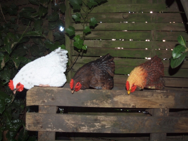 Deko Huhn Kantenhocker 3 verschiedene Farben Esschert