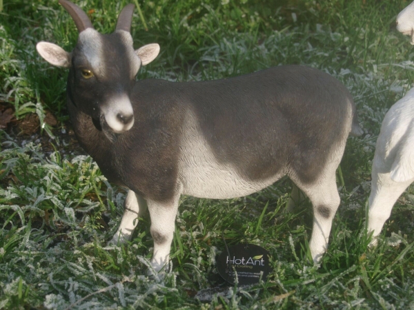 Ziege Deko Figur  wetterfest Hotant NEU