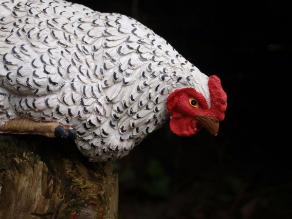 Kantenhocker Huhn weiß
