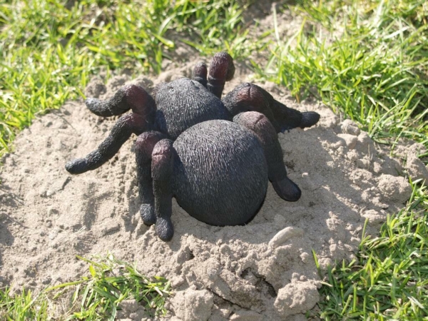 Spinne lebensecht Vogelspinne  Halloween Hotant NEU