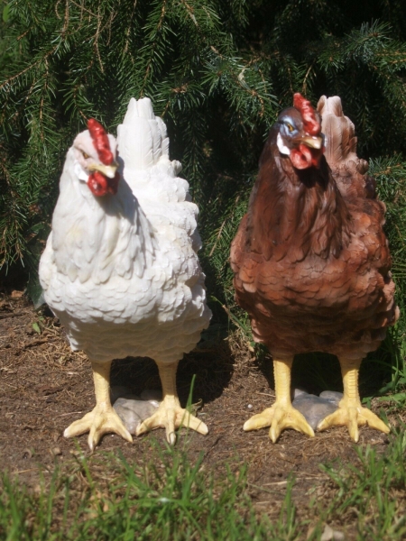 Huhn 32cm in 2 verschiedene Farben lebensecht