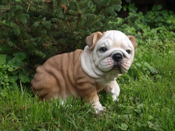 Englische Bulldogge Deko Figur old english Bulldog Welpe HOTANT